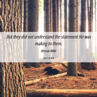 Picture 06 - Luke 2:50 BSB - But they did not understand the statement He was - Bible Verse Picture