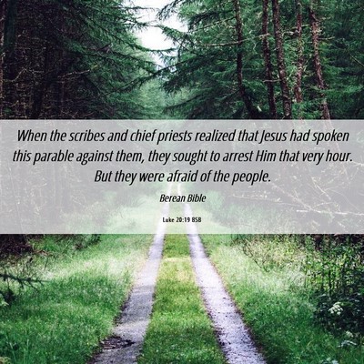 Picture 06 - Luke 20:19 BSB - When the scribes and chief priests realized that - Bible Verse Picture