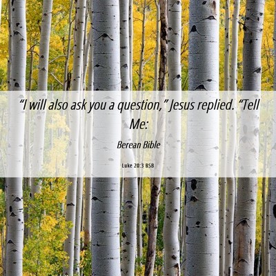 Picture 06 - Luke 20:3 BSB - “I will also ask you a question,” Jesus - Bible Verse Picture