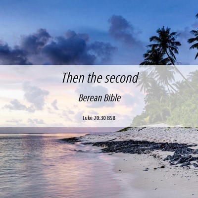 Picture 06 - Luke 20:30 BSB - Then the - Bible Verse Picture