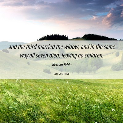 Picture 06 - Luke 20:31 BSB - and the third married the widow, and in the same - Bible Verse Picture