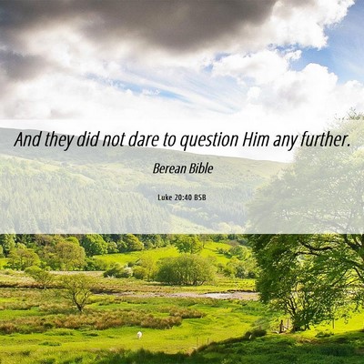Picture 06 - Luke 20:40 BSB - And they did not dare to question Him any - Bible Verse Picture