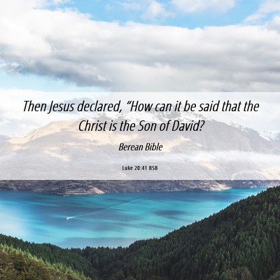 Picture 06 - Luke 20:41 BSB - Then Jesus declared, “How can it be said that - Bible Verse Picture