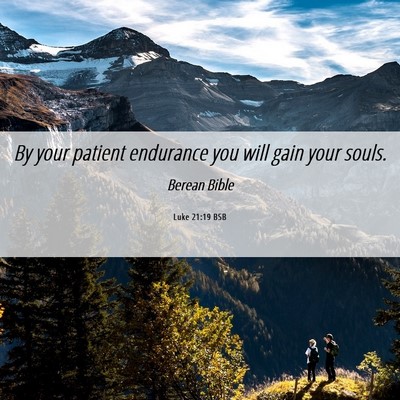 Picture 06 - Luke 21:19 BSB - By your patient endurance you will gain your - Bible Verse Picture
