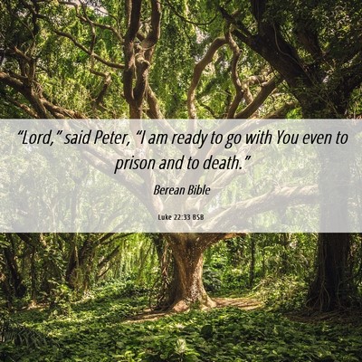 Picture 06 - Luke 22:33 BSB - “Lord,” said Peter, “I am ready to go with - Bible Verse Picture