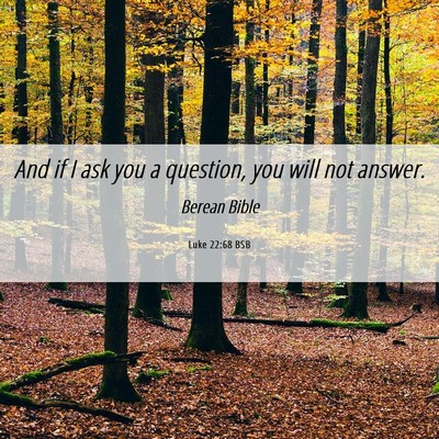 Picture 06 - Luke 22:68 BSB - And if I ask you a question, you will not - Bible Verse Picture