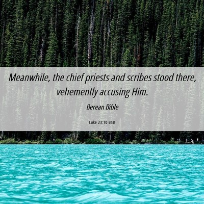 Picture 06 - Luke 23:10 BSB - Meanwhile, the chief priests and scribes stood - Bible Verse Picture