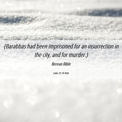 Picture 06 - Luke 23:19 BSB - (Barabbas had been imprisoned for an insurrection - Bible Verse Picture