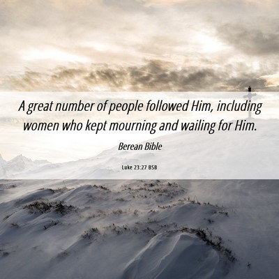 Picture 06 - Luke 23:27 BSB - A great number of people followed Him, including - Bible Verse Picture