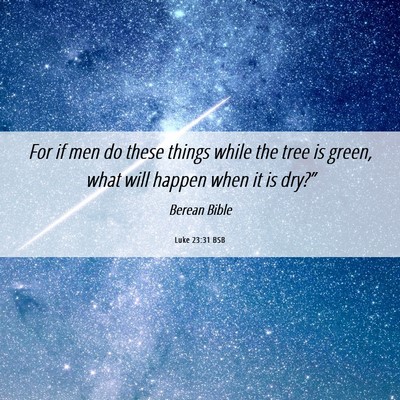 Picture 06 - Luke 23:31 BSB - For if men do these things while the tree is - Bible Verse Picture