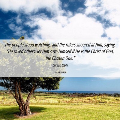 Picture 06 - Luke 23:35 BSB - The people stood watching, and the rulers sneered - Bible Verse Picture