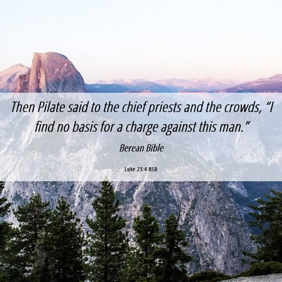 Picture 06 - Luke 23:4 BSB - Then Pilate said to the chief priests and the - Bible Verse Picture