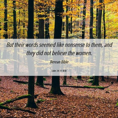 Picture 06 - Luke 24:11 BSB - But their words seemed like nonsense to them, and - Bible Verse Picture