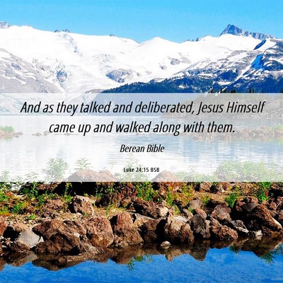 Picture 06 - Luke 24:15 BSB - And as they talked and deliberated, Jesus Himself - Bible Verse Picture
