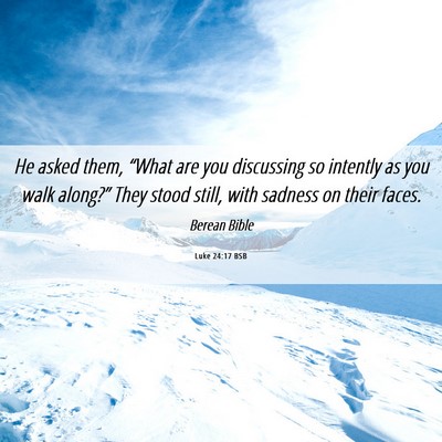 Picture 06 - Luke 24:17 BSB - He asked them, “What are you discussing so - Bible Verse Picture
