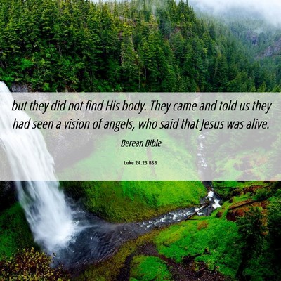 Picture 06 - Luke 24:23 BSB - but they did not find His body. They came and - Bible Verse Picture