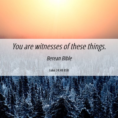 Picture 06 - Luke 24:48 BSB - You are witnesses of these - Bible Verse Picture