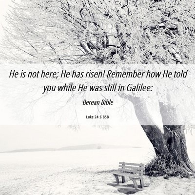 Picture 06 - Luke 24:6 BSB - He is not here; He has risen! Remember how He - Bible Verse Picture