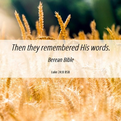 Picture 06 - Luke 24:8 BSB - Then they remembered His - Bible Verse Picture