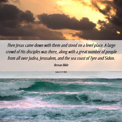 Picture 06 - Luke 6:17 BSB - Then Jesus came down with them and stood on a - Bible Verse Picture