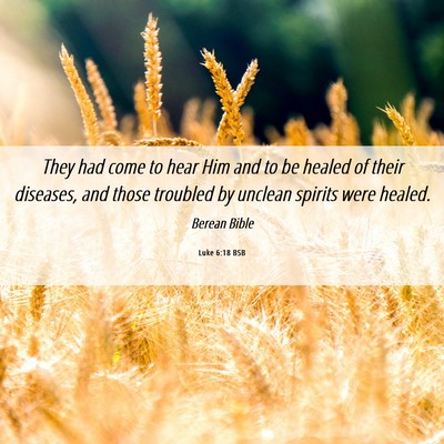 Picture 06 - Luke 6:18 BSB - They had come to hear Him and to be healed of - Bible Verse Picture