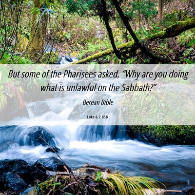 Picture 06 - Luke 6:2 BSB - But some of the Pharisees asked, “Why are you - Bible Verse Picture