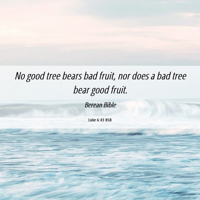 Picture 06 - Luke 6:43 BSB - No good tree bears bad fruit, nor does a bad tree - Bible Verse Picture