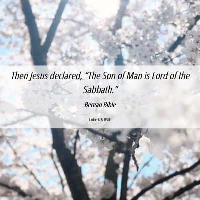Picture 06 - Luke 6:5 BSB - Then Jesus declared, “The Son of Man is Lord of - Bible Verse Picture