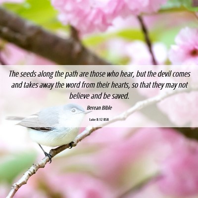 Picture 06 - Luke 8:12 BSB - The seeds along the path are those who hear, but - Bible Verse Picture