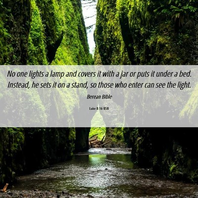 Picture 06 - Luke 8:16 BSB - No one lights a lamp and covers it with a jar or - Bible Verse Picture