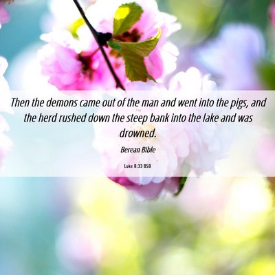 Picture 06 - Luke 8:33 BSB - Then the demons came out of the man and went into - Bible Verse Picture
