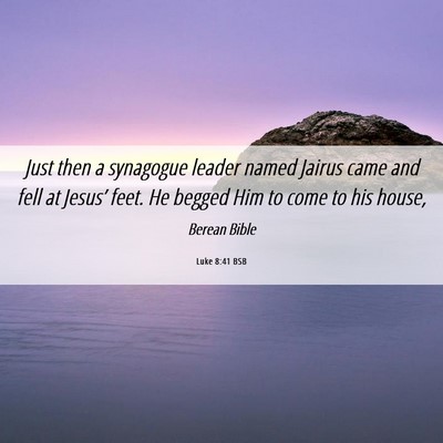 Picture 06 - Luke 8:41 BSB - Just then a synagogue leader named Jairus came - Bible Verse Picture