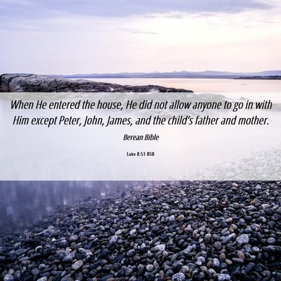 Picture 06 - Luke 8:51 BSB - When He entered the house, He did not allow - Bible Verse Picture