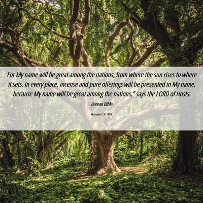 Picture 06 - Malachi 1:11 BSB - For My name will be great among the nations, from - Bible Verse Picture