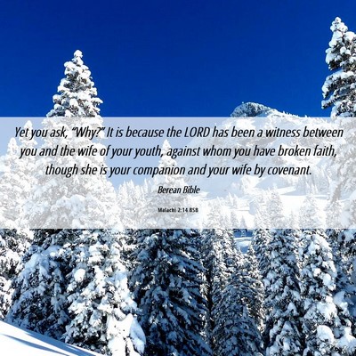 Picture 06 - Malachi 2:14 BSB - Yet you ask, “Why?” It is because the LORD - Bible Verse Picture