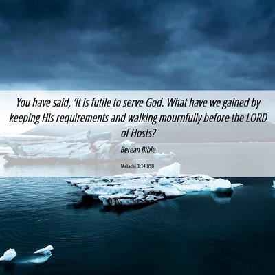 Picture 06 - Malachi 3:14 BSB - You have said, ‘It is futile to serve God. What - Bible Verse Picture