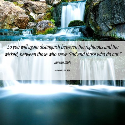 Picture 06 - Malachi 3:18 BSB - So you will again distinguish between the - Bible Verse Picture
