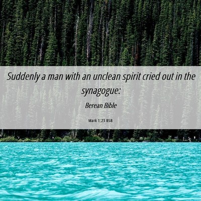 Picture 06 - Mark 1:23 BSB - Suddenly a man with an unclean spirit cried out - Bible Verse Picture