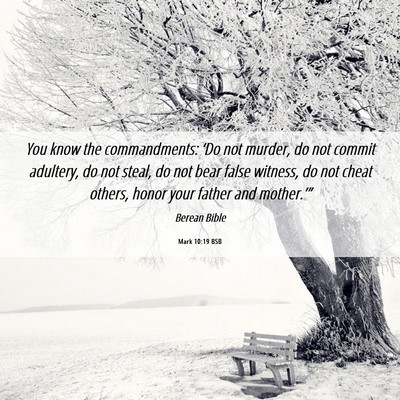 Picture 06 - Mark 10:19 BSB - You know the commandments: ‘Do not murder, do - Bible Verse Picture
