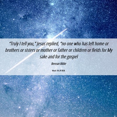Picture 06 - Mark 10:29 BSB - “Truly I tell you,” Jesus replied, “no one - Bible Verse Picture