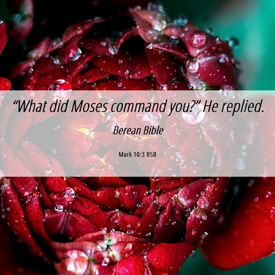 Picture 06 - Mark 10:3 BSB - “What did Moses command you?” He - Bible Verse Picture