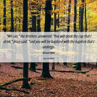 Picture 06 - Mark 10:39 BSB - “We can,” the brothers answered. “You will - Bible Verse Picture