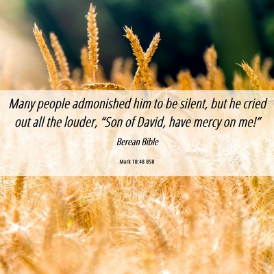 Picture 06 - Mark 10:48 BSB - Many people admonished him to be silent, but he - Bible Verse Picture
