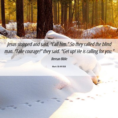 Picture 06 - Mark 10:49 BSB - Jesus stopped and said, “Call him.” So they - Bible Verse Picture
