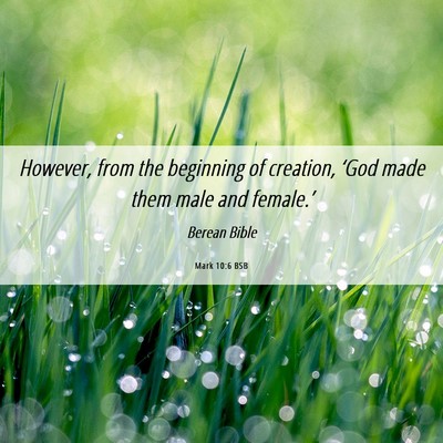 Picture 06 - Mark 10:6 BSB - However, from the beginning of creation, ‘God - Bible Verse Picture