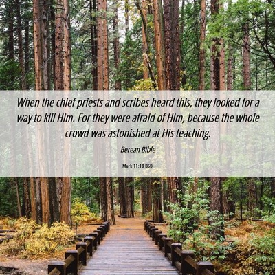 Picture 06 - Mark 11:18 BSB - When the chief priests and scribes heard this, - Bible Verse Picture