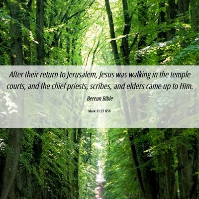 Picture 06 - Mark 11:27 BSB - After their return to Jerusalem, Jesus was - Bible Verse Picture