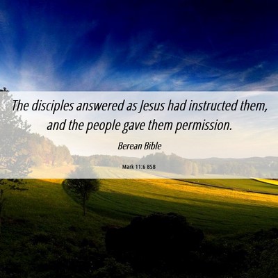 Picture 06 - Mark 11:6 BSB - The disciples answered as Jesus had instructed - Bible Verse Picture