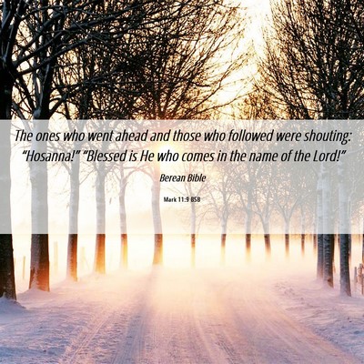 Picture 06 - Mark 11:9 BSB - The ones who went ahead and those who followed - Bible Verse Picture