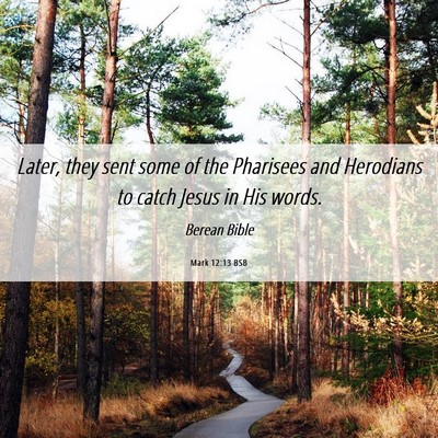 Picture 06 - Mark 12:13 BSB - Later, they sent some of the Pharisees and - Bible Verse Picture